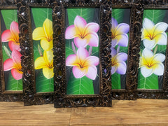 Balinese Canvas Frangipani Painting w/Bali Carved Frame - Bali Painting 33x63cm