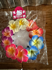 Pack 10 Frangipani Hair Clips - Assorted Colour Frangipani Crocodile Hair Clip