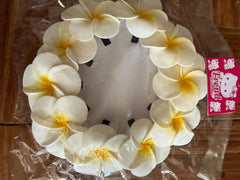Pack 10 Frangipani Hair Clips - White/Yellow Frangipani Crocodile Hair Clip