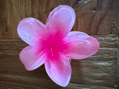 Frangipani Hair Clip - 6 COLOURS - Frangipani Claw Hair Clip GREAT GIFT Pack 2