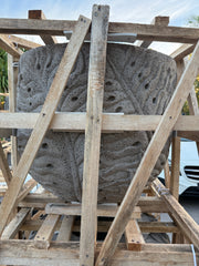 NEW Balinese Carved Concrete / Paras Pot - Bali Monstera Carving FEATURE POT