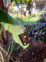 NEW Balinese Hand Crafted Wood Bird Hanger / Mobile - 3 Fat Birds Hanging Decor