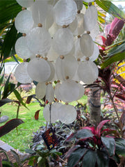 Balinese Shell Top Capiz Shell Wind Chime w/beads / Mobile - Shell Decor Hanger*