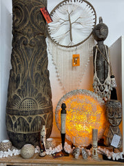 Brand New Natural Shell Feature Lamp - Indoor Bali Feature Lamp - Shell Lamp