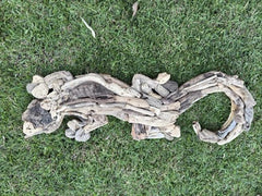 NEW Bali Handmade Driftwood Gecko Wall Decor 100cm - Bali Driftwood Wall Art