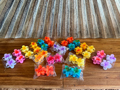 Frangipani Hair Clips - 6 COLOURS - Frangipani Claw Hair Clip GREAT GIFT Pack 2