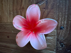 Frangipani Hair Clip - 6 COLOURS - Frangipani Claw Hair Clip GREAT GIFT Pack 2