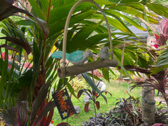 Balinese Hand Crafted Wood 2 Birds on Swing Hanger / Mobile - Bali Bird Mobile