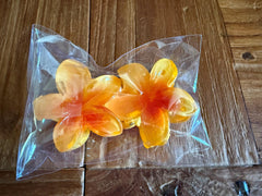 Frangipani Hair Clips - 6 COLOURS - Frangipani Claw Hair Clip GREAT GIFT Pack 2