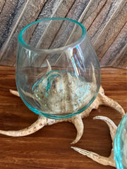 NEW Balinese Hand Blown Glass on Shell Bowl - Bali Glass on Shell Art ALL UNIQUE