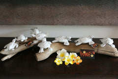 NEW Bali Wood Carved Sea Turtle Sculpture on Driftwood - Turtle Wood Art