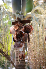 NEW Balinese Shell Windchime / Mobile - 3 SIZES AVAILABLE... Gorgeous