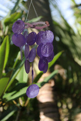 NEW Balinese Capiz Shell Mobile / Wind Chime - MANY COLOURS / Sound GREAT!!