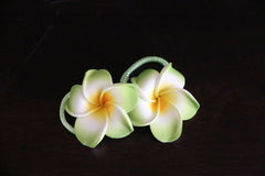 NEW Frangipani Hairbands - MANY COLOURS - Frangipani Hair Ties - GREAT GIFT