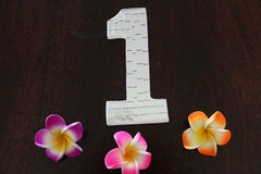 NEW Balinese Mosaic House Number - Choose from 1-0 - Mosaic House or Unit Number