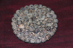 NEW Balinese Hand Crafted Shell Encrusted Coasters - Shell Home Decor
