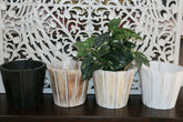NEW Balinese Hand Crafted Wooden Pot Great for artificial plants!! BOHO Style..