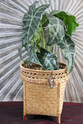 New Balinese Hand Woven BAMBOO w/RATTAN TRIM OPEN BASKET - Bali Basket