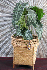 New Balinese Hand Woven BAMBOO w/RATTAN TRIM OPEN BASKET - Bali Basket