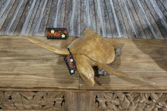 NEW Balinese Hand Carved & Crafted Suar Wood Turtle Sculpture - Bali Turtle Art