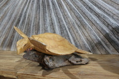 NEW Balinese Hand Carved & Crafted Suar Wood Turtle Sculpture - Bali Turtle Art