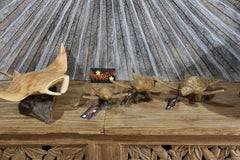 NEW Balinese Hand Carved & Crafted Suar Wood Turtle Sculpture - Bali Turtle Art