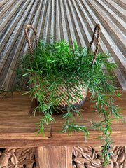 NEW Balinese Hand Woven Rattan / Wood Combo Open Basket w/handles - Bali Basket