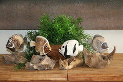 NEW Balinese Hand Carved Wooden Fish on Natural Wood Sculpture