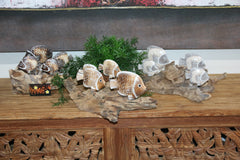 NEW Balinese Hand Carved Wooden Fish on Natural Wood Sculpture