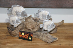 NEW Balinese Hand Carved Wooden Fish on Natural Wood Sculpture
