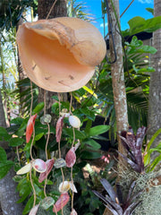 NEW Balinese Natural L Shell Windchime / Mobile - Bali Shell Mobile / Chime