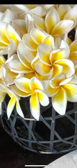 NEW Bali Woven Frangipani Holder - Bali Frangipani Holder/ Basket