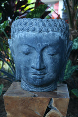 New Balinese Cast Concrete Buddha Head Pot - 2 Colours Available - GORGEOUS!!