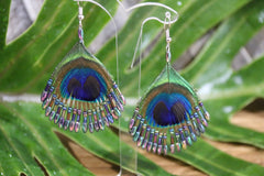 Peacock Feather Hook Earrings - Choose from 3 Colours - Peacock Earrings