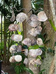 NEW Balinese Shell Chime / Mobile - Bali Shell Decor Hanger - Lovely sound