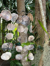 NEW Balinese Shell Chime / Mobile - Bali Shell Decor Hanger - Lovely sound