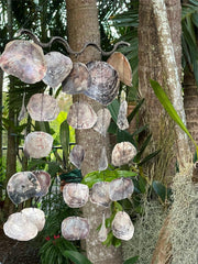 NEW Balinese Shell Chime / Mobile - Bali Shell Decor Hanger - Lovely sound