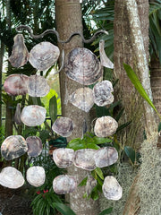 NEW Balinese Shell Chime / Mobile - Bali Shell Decor Hanger - Lovely sound