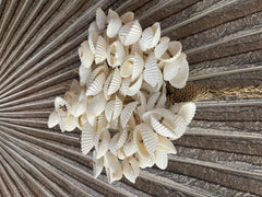 NEW BALINESE SHELL TASSEL - BALI SHELL HANGING DECOR - BOHO STYLE HOMEWARES