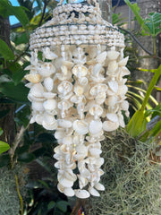 NEW Balinese Shell Hanging Decor or Mini Shell Pendant Light Shade - Bali Shells