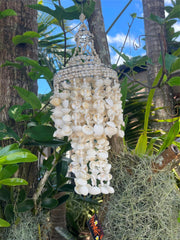 NEW Balinese Shell Hanging Decor or Mini Shell Pendant Light Shade - Bali Shells