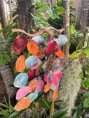 NEW Balinese Shell Windchime / Multi Colour - Bali Wind Chime - GREAT SOUND