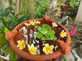 NEW Balinese Terracotta Frog Bowl or Pot - Bali Frog Pot or Water Bowl - Large