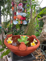 NEW Balinese Terracotta Frog Bowl or Pot - Bali Frog Pot or Water Bowl - Small