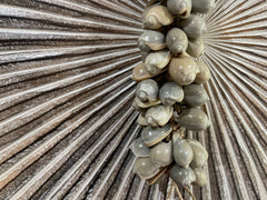 NEW Balinese Shell Tassel - Bali Shell Hanging Decor - BOHO Style Homewares 50cm