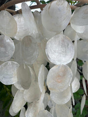 NEW Capiz Shell Mobile or Wind Chime or Pendant Light Shade STUNNING!!