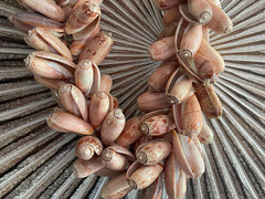 NEW Hand Crafted Balinese Shell Necklace or Garland - Large Bali Shell Necklace