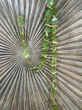 NEW Balinese Capiz Shell with Stick Hanging Strand / Mobile - Shell Decor Hanger