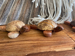 Balinese Hand Crafted Wood / Coconut Shell Turtle Sculpture - Bali Turtle
