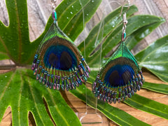 Peacock Feather Hook Earrings - Choose from 3 Colours - Peacock Earrings